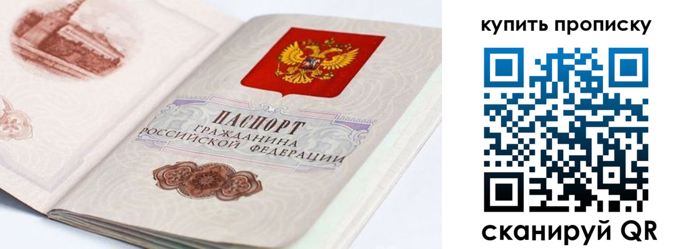 временная регистрация купить в Светлом