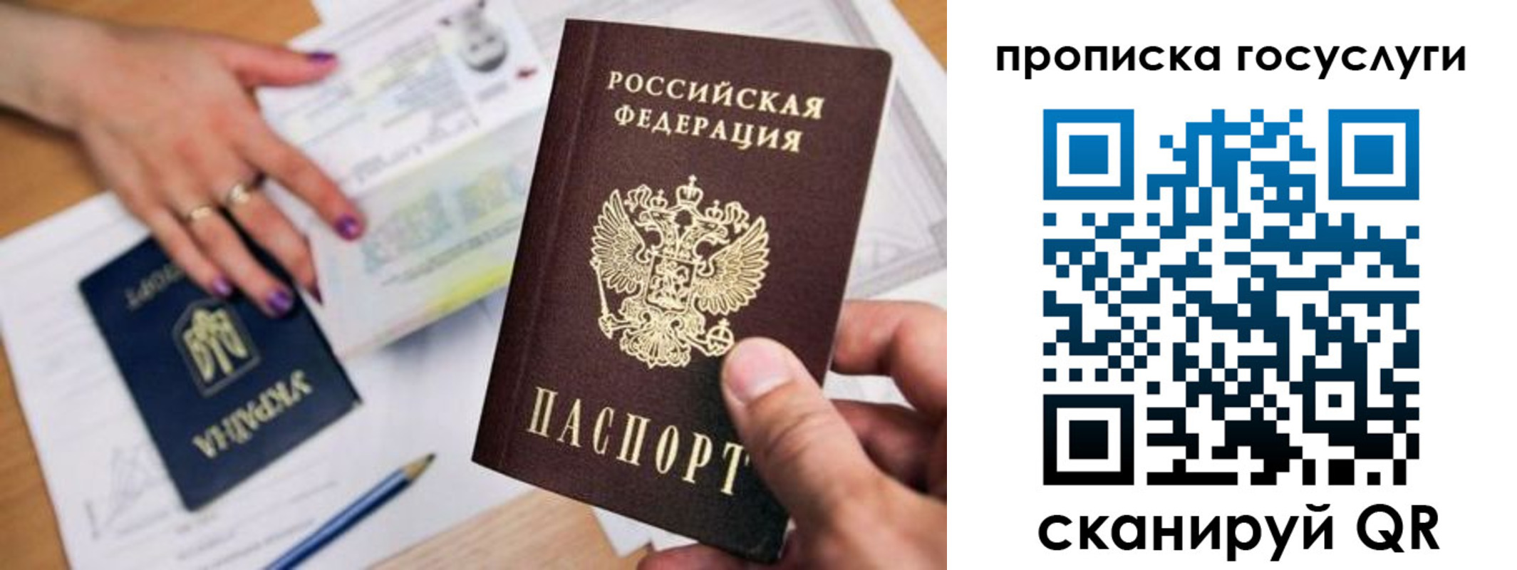 временная прописка в Светлом